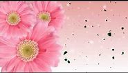 Animated Flowers Blooming Background
