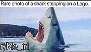 r/Me_irl | Shark stepping on a lego...