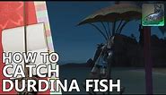 How to Catch Durdina Fish in FFXIV
