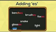 Spelling Rules | Adding 'es' to Words | EasyTeaching