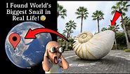 🤯I Found World's Biggest Snail in Real Life on Google Maps and Google Earth!