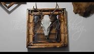 How to make a mount for a deer skull