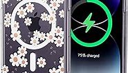 CYRILL Cecile Mag Compatible with iPhone 14 Pro Case MagSafe (2022), Clear iPhone 14 Pro Case Floral Design Cute for Women with Slim Fit Profile - White Daisy Mag