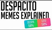 'Despacito' Memes Explained
