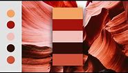How To Create a Color Palette In Photoshop | Color Palette Generator