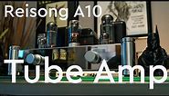 Reisong A10 Tube Amp Review - You're Gonna Love It