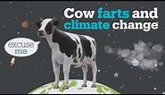Cow farts and climate change