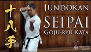 Powerful Kata | Seipai | Okinawa Karate Goju-ryu | Ageshio Japan