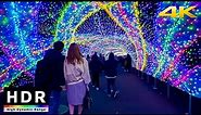 4K HDR // Japan's Best Illuminations near Tokyo after New Year - 2 hours