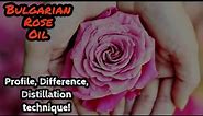 Bulgarian rose oil | Damask rose Explained