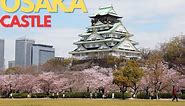 [4k] Walk Explore the Magical Beauty of Osaka Castle in Japan!