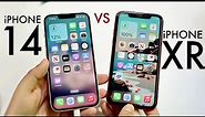 iPhone 14 Vs iPhone XR In 2023! (Comparison) (Review)