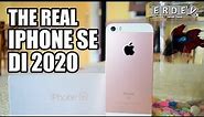 Review (The Real) iPhone SE di Tahun 2020 - Si kecil cabe rawit!