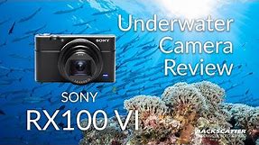 Sony RX100 VI Underwater Camera Review
