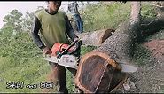 Stihl's Strongest Chainsaw... Cut wood as easy as cutting bread, Stihl ms881.