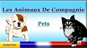 French Lesson 18 - Learn French Animal names - PETS