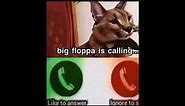 Big Floppa is calling you. Pick up the phone baby meme
