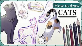 How to draw CATS - Step by Step Art Tutorial