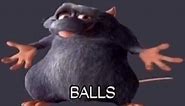 Rat Balls Meme