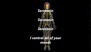 AP Psych: Neurotransmitters (Dumb Ways to Die Cover)