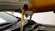 Toyota Corolla GLI Professional oil change video #automobile #oilchange #mechanic #engineoil #oil🥰