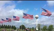 American Flags Blowing in the Wind