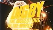 Digby The Biggest Dog In The World (1973) TV Spot Trailer