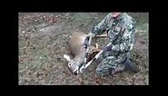 How to remove a Deer jawbone