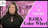 Breaking Down The Igora Royal Color Chart | Boothcamp Top Tips | Schwarzkopf USA