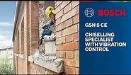 Bosch GSH 5 CE Professional Demolition Hammer With SDS Max