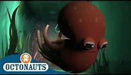 Octonauts - Lair of the Octopus | Triple Special | Cartoons for Kids