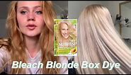 Bleaching Hair with Box Dye