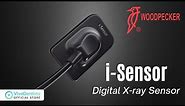 WOODPECKER i-Sensor Digital X-Ray Sensor | VivaDentista