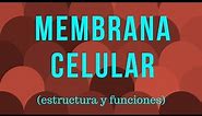 MEMBRANA CELULAR: estructura y funciones
