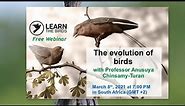 The evolution of birds