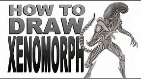 How to draw a Xenomorph (Alien)