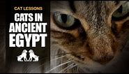 10 Facts About Cats in Ancient Egypt