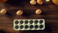 How to Make Halloween Egg Carton Bats 🎃 🦇 👻 | Organic Valley DIY