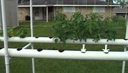 My PVC pipe hydroponic garden explained