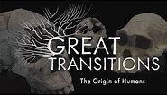Great Transitions: The Origin of Humans — HHMI BioInteractive Video