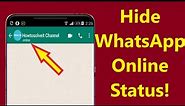 How to Hide WhatsApp Online Status While Chatting without any app!! - Howtosolveit