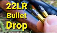 22LR Bullet Drop - Demonstrated and Explained