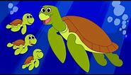 Sea Turtle Cartoon | Cute Animated Ocean Animals Video for Children | Learn Animals for Kids