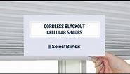 Cordless Blackout Cellular Shades from SelectBlinds.com