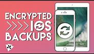 Encrypted iOS Backups (How To) | iOS Tips