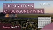Burgundy Wine Terminology