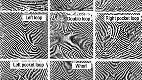 Fingerprint Science Project for Kids