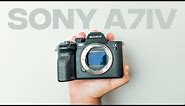 The Sony A7IV in 2024 | Best Hybrid Camera Ever Made