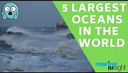 Largest Seas and Oceans in the World