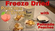 Freeze Dried Peaches and Cream! -- FREEZE DRIED DESSERTS